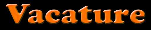 3athlon.be zoekt medewerkers