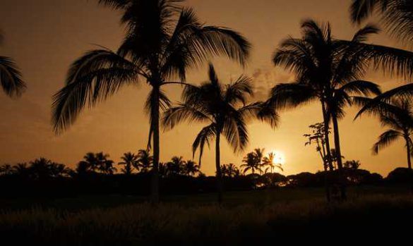 sunset.jpg