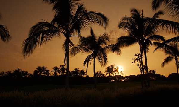 Dagboek Hawaii – Dag 5&6