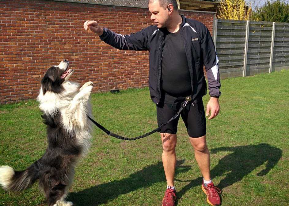 Project Grand Raid 3: Pingnet is aan het trainen