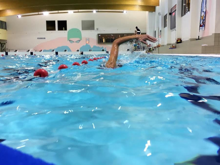 Crawl techniek ontleden en weer opbouwen – PeakLevel Swim Academy