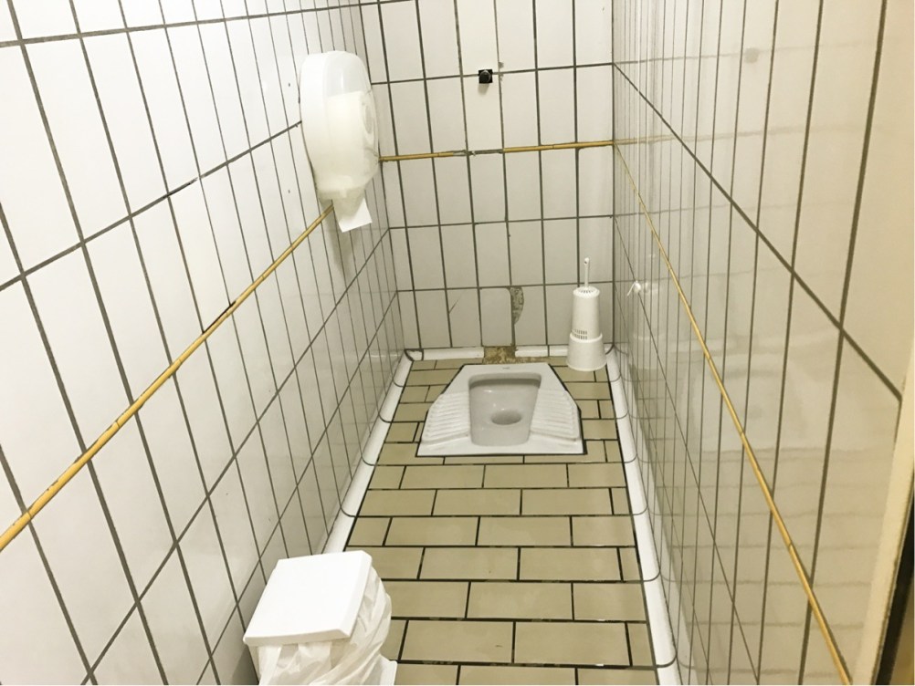 EDC Toilet Venetie