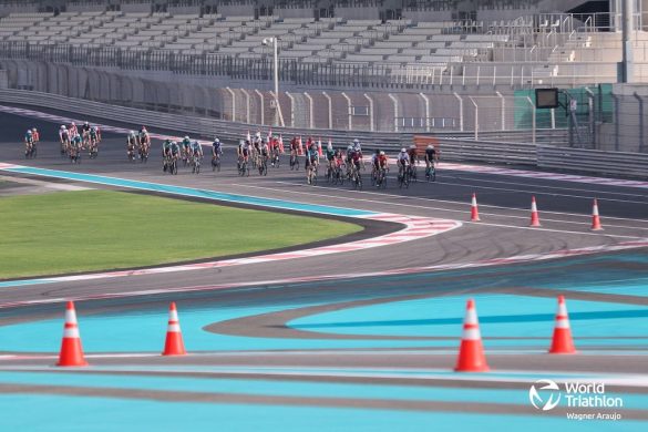 Vijf Belgische triatleten verkennen mee het parcours van de WTCS triatlon in Abu Dhabi (foto: World Triathlon/Tommy Zaferes)