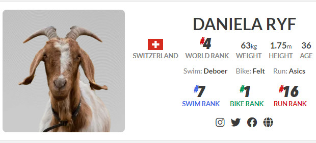 PTO benoemt triatlete Daniela Ryf tot GOAT met hilarische profielfoto… van geit