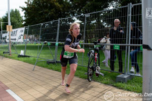 Halve Knokke kl.formaat (386)