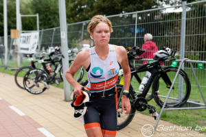 Halve Knokke kl.formaat (408)